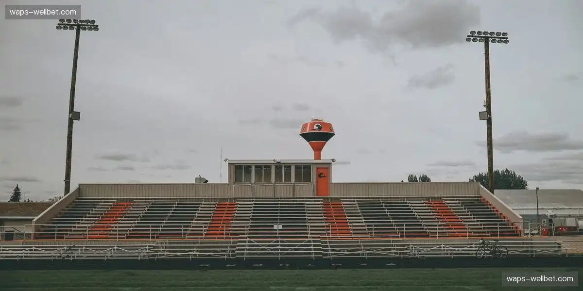 实时数据更新 增强观众互动